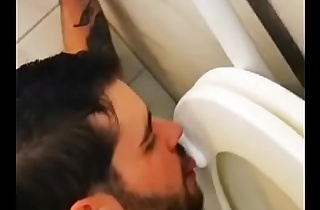 Dirty toilet lick