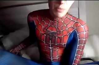El chico araña de la web
