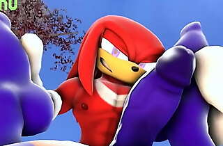 Sonic and knuckles have recreation together