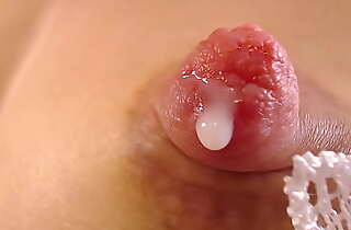 Far-out close up be advantageous to hard nipps dripping milk