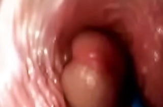 Cam displays penis entering vagina with long feel sorry