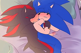 Fragmento de Sonic x Shadow: una tarde de amor