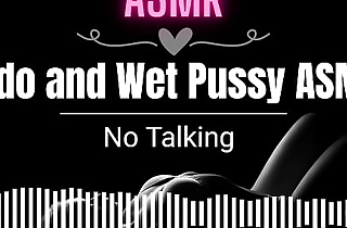 [︎ ASMR ︎] Vibrator and Wet Pussy ASMR