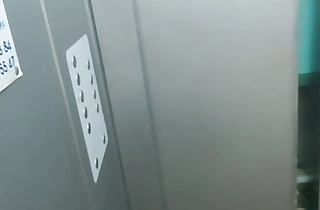sex in the elevator with a neighbor. deep blowjob.